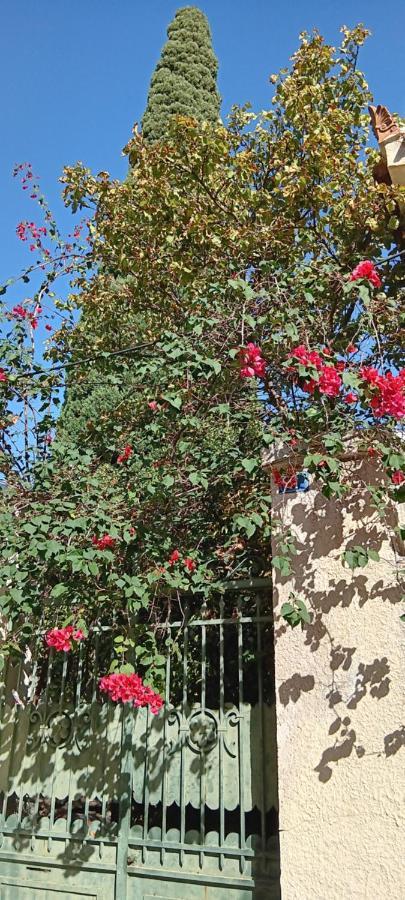 Athenian Asty Guesthouse Dış mekan fotoğraf